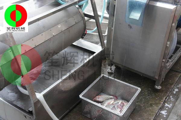 殺魚生產線