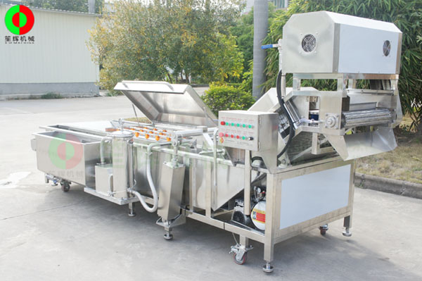 全網鏈洗菜機