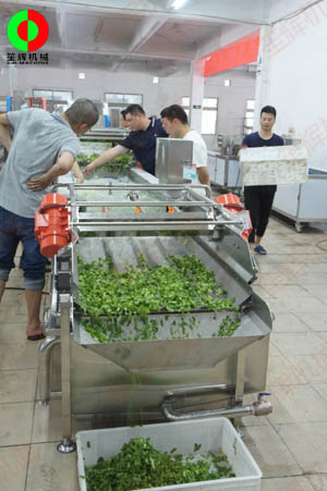 客戶親臨我司實(shí)地考察工廠及蔬果切割清洗生產(chǎn)線設(shè)備！