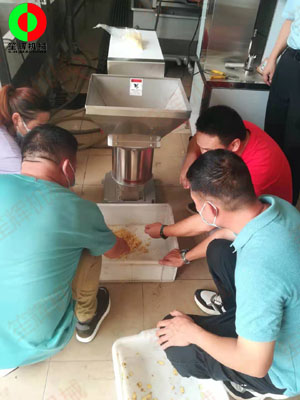 江門客戶謝先生親臨我司測(cè)試生姜清洗脫皮及打碎設(shè)備！