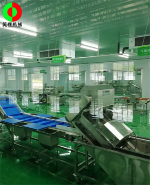 廣西蒙山標準化凈菜加工車間項目,毛菜加工車間順利完工!