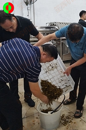 客戶來(lái)廠測(cè)試驗(yàn)貨果蔬清洗加工設(shè)備！