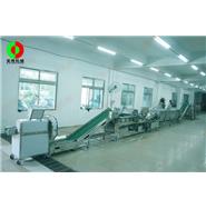 大型韭菜殺青生產線(視頻)