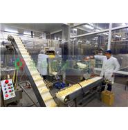 大型水果加工生產線/黃桃加工生產線