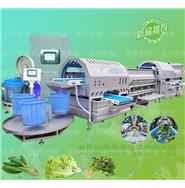 智能渦流清洗脫水線/渦流洗菜機(jī)/蔬菜清洗脫水機(jī) (視頻)